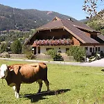 Unterwirt Διαμέρισμα Bad Kleinkirchheim
